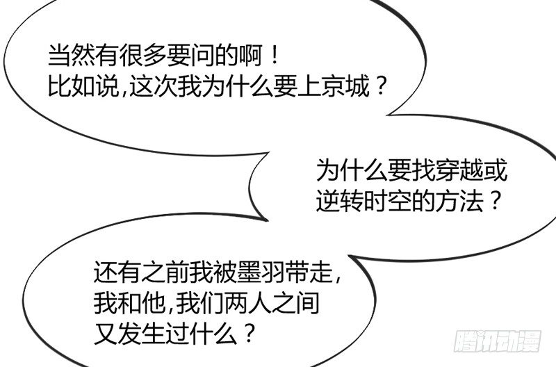 这可是我的喵！24