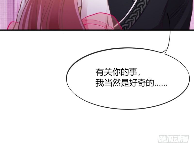 这可是我的喵！28