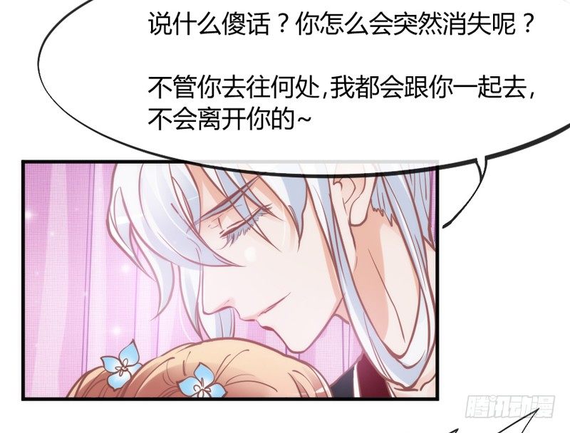 这可是我的喵！41