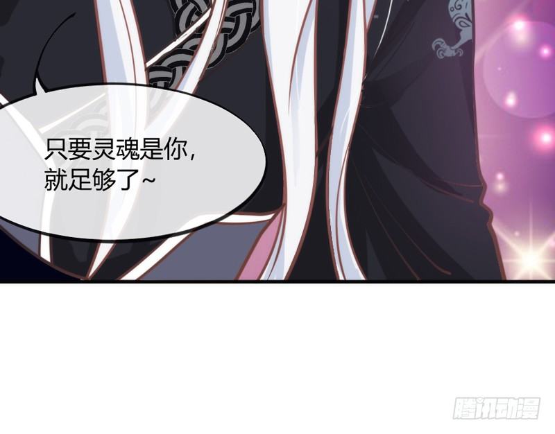 这可是我的喵！65