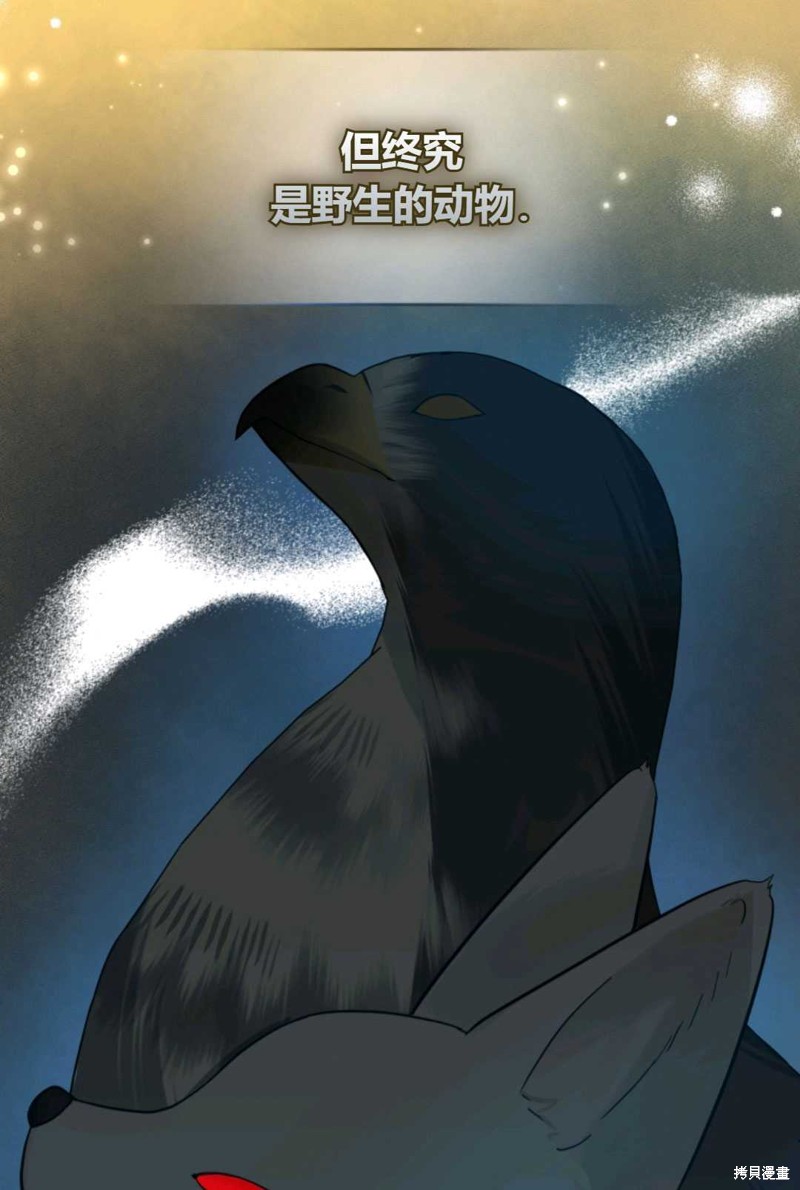 第14话64