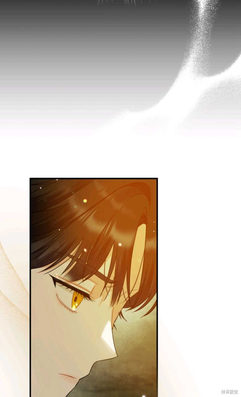 第14话66