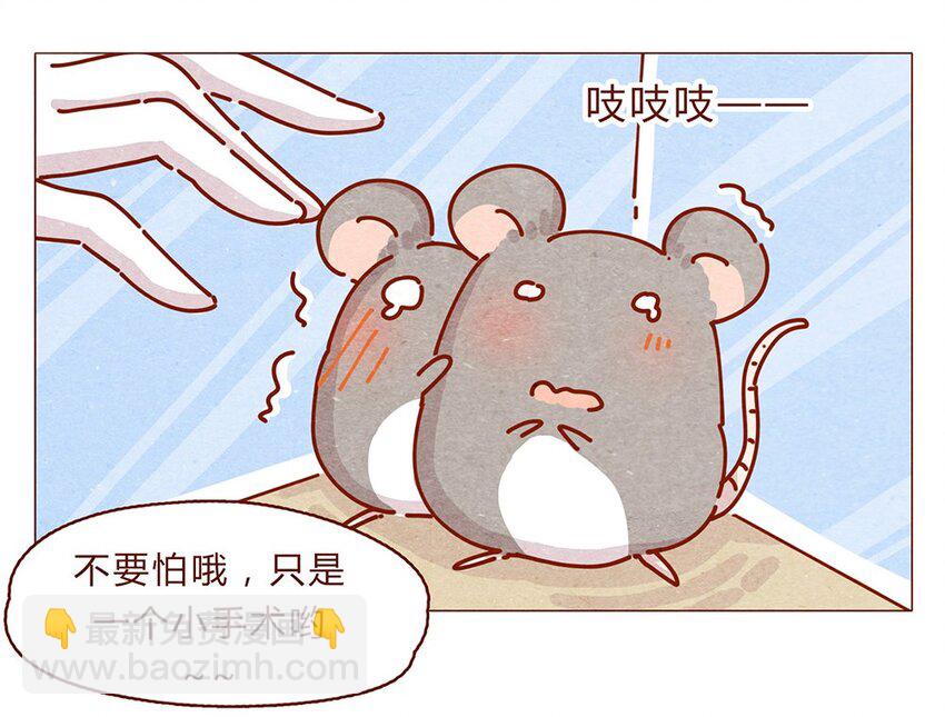 174话 那……谁啊？6