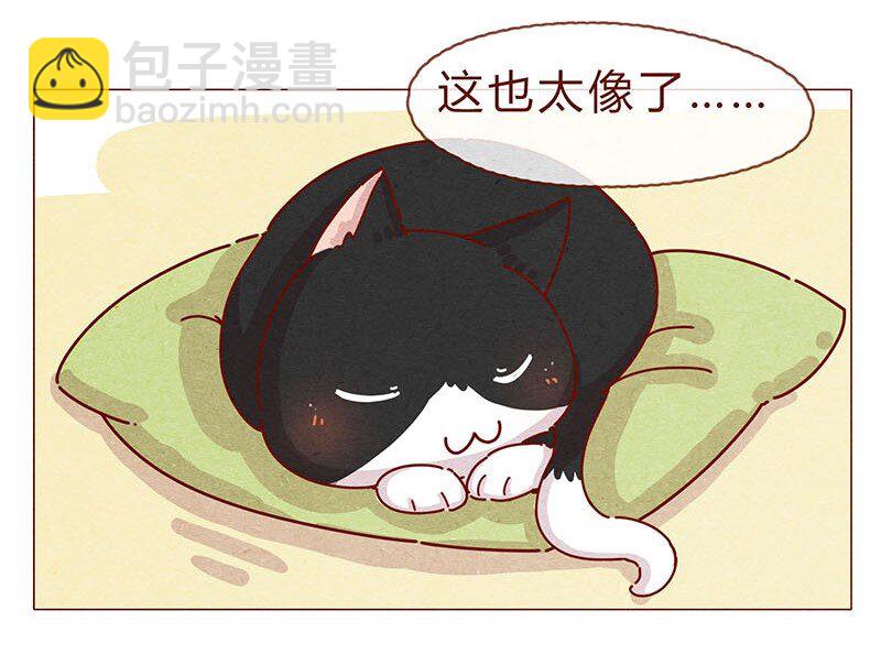 197话 你举着个胖次做什么2
