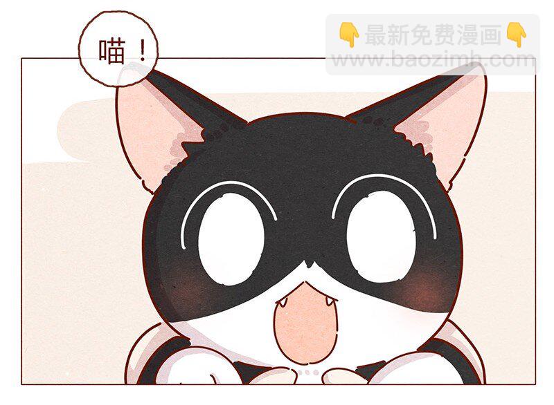 203话 遇到命中注定的猫猫5