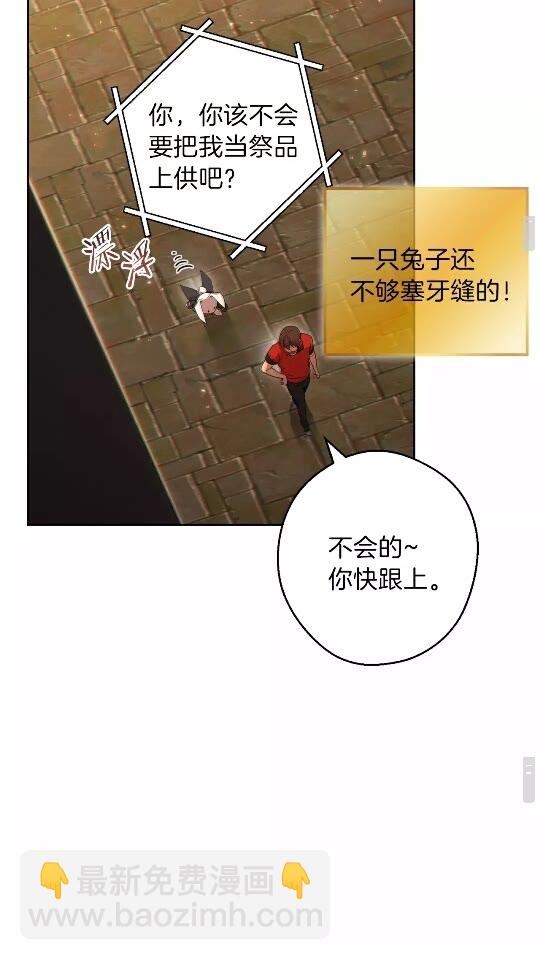 第31话 我兔子将带头种地！18