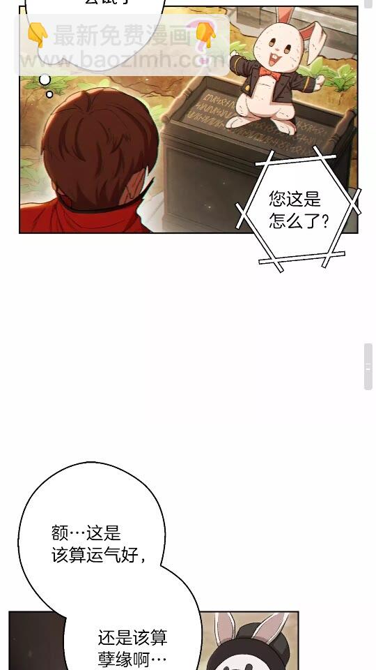第31话 我兔子将带头种地！40
