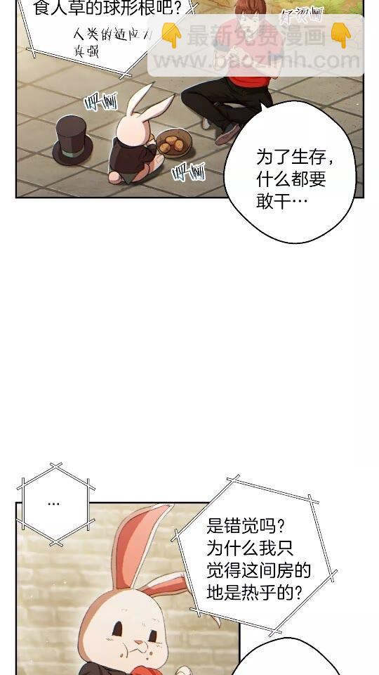 第32话 小矮蛙🐸1