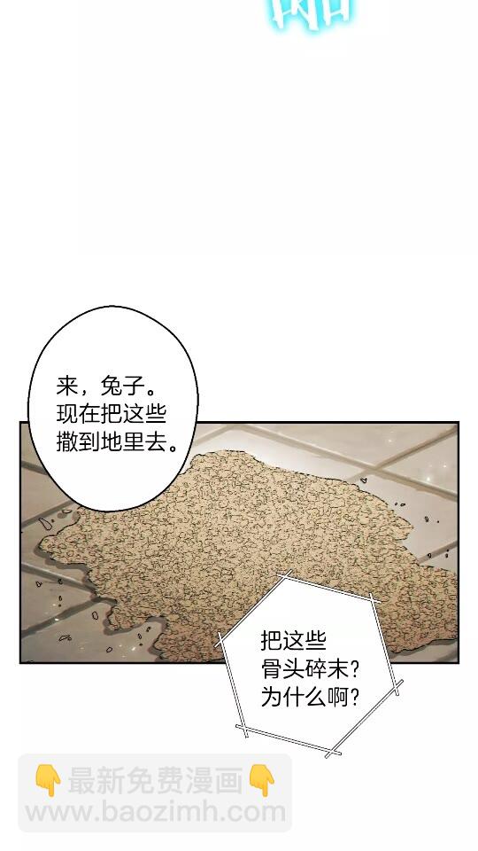 第32话 小矮蛙🐸16