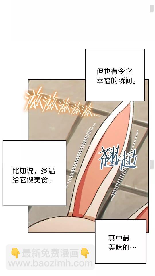 第32话 小矮蛙🐸19
