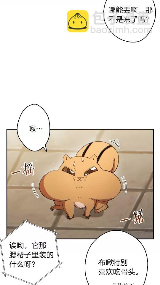 第32话 小矮蛙🐸3
