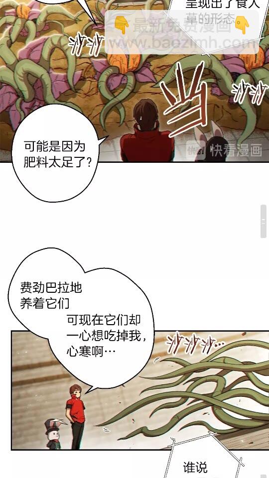 第32话 小矮蛙🐸32
