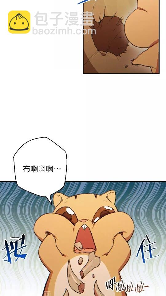 第32话 小矮蛙🐸6