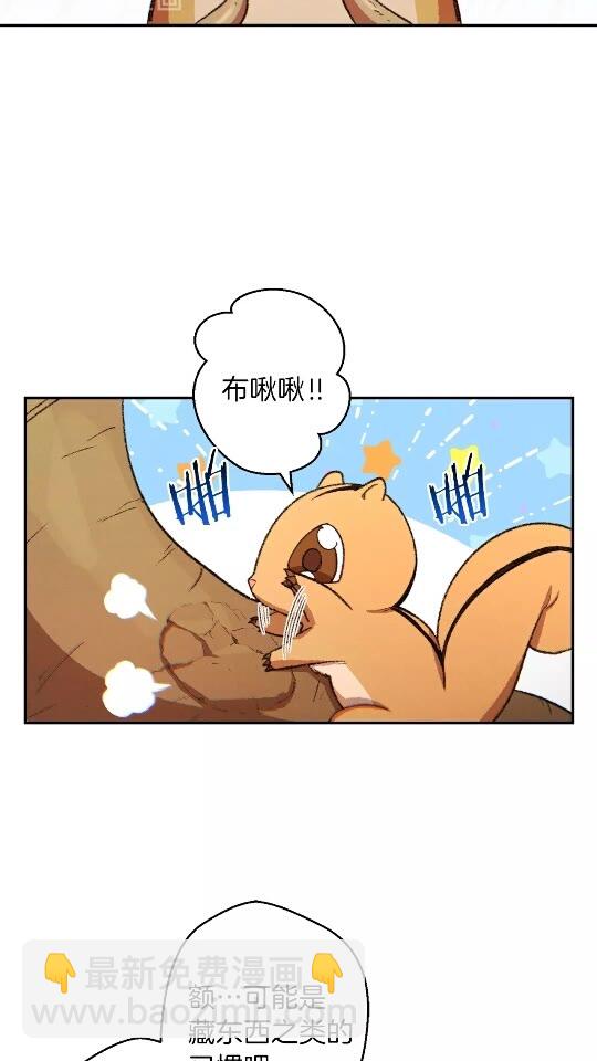 第32话 小矮蛙🐸7