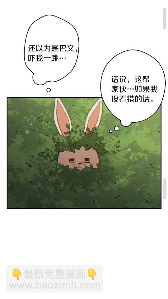 第37话 兔子的史诗技能！29