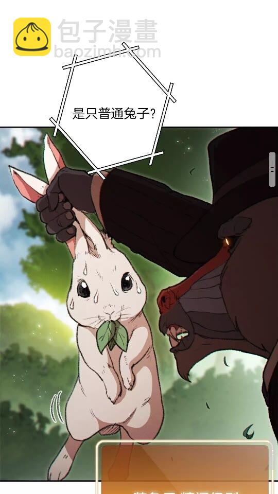 第37话 兔子的史诗技能！41