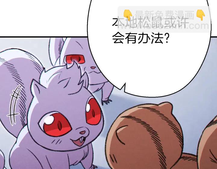 第67话 松鼠外交官！155