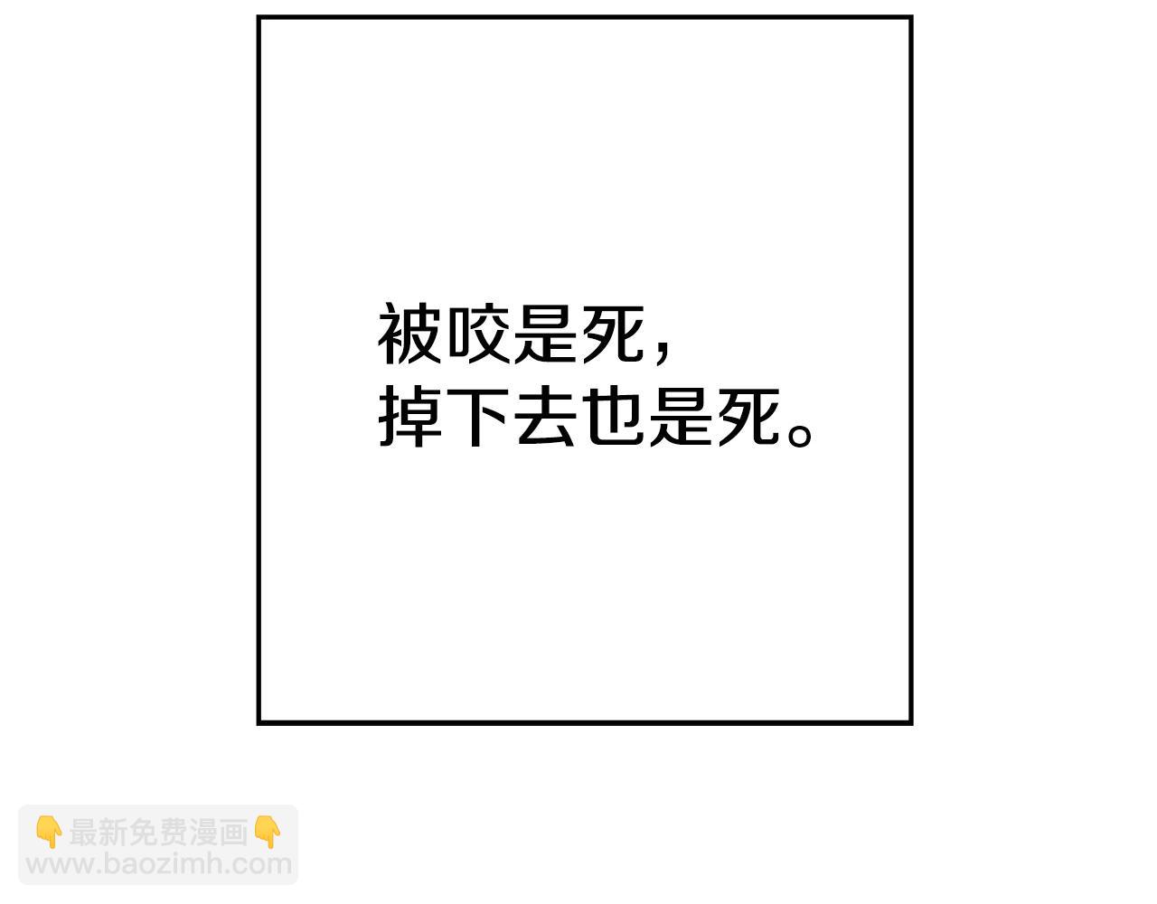 第98话 金牌辅助34