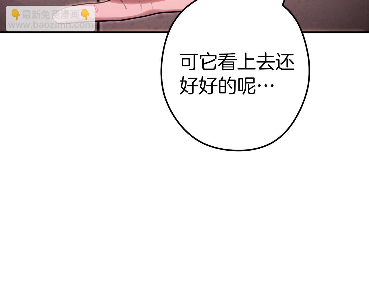 第129话 身世成谜的兔子29