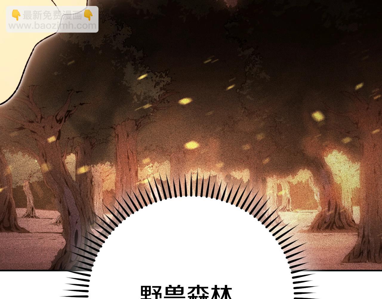 第165话 魔女的记忆234