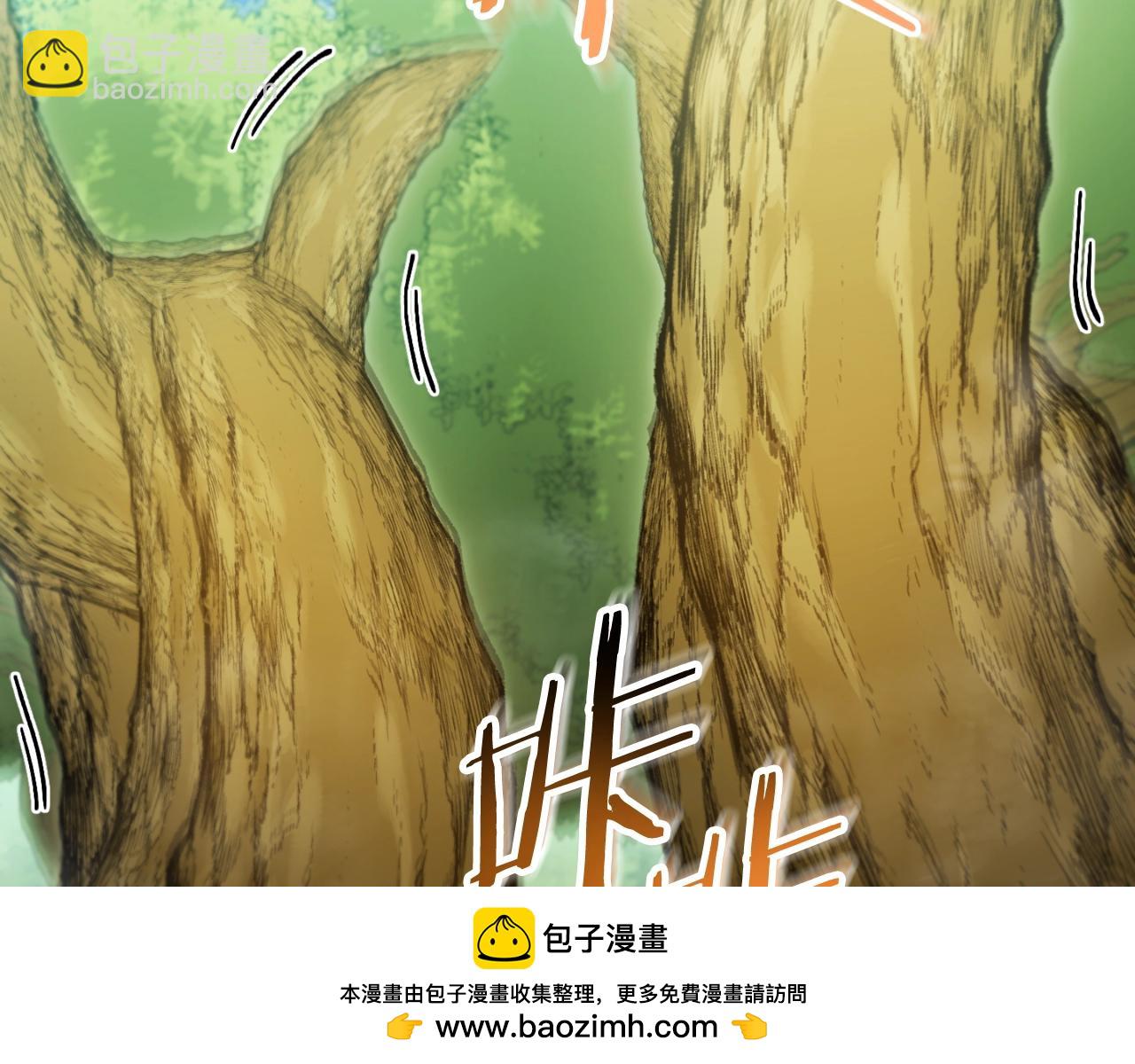 第170话 精灵的武器211