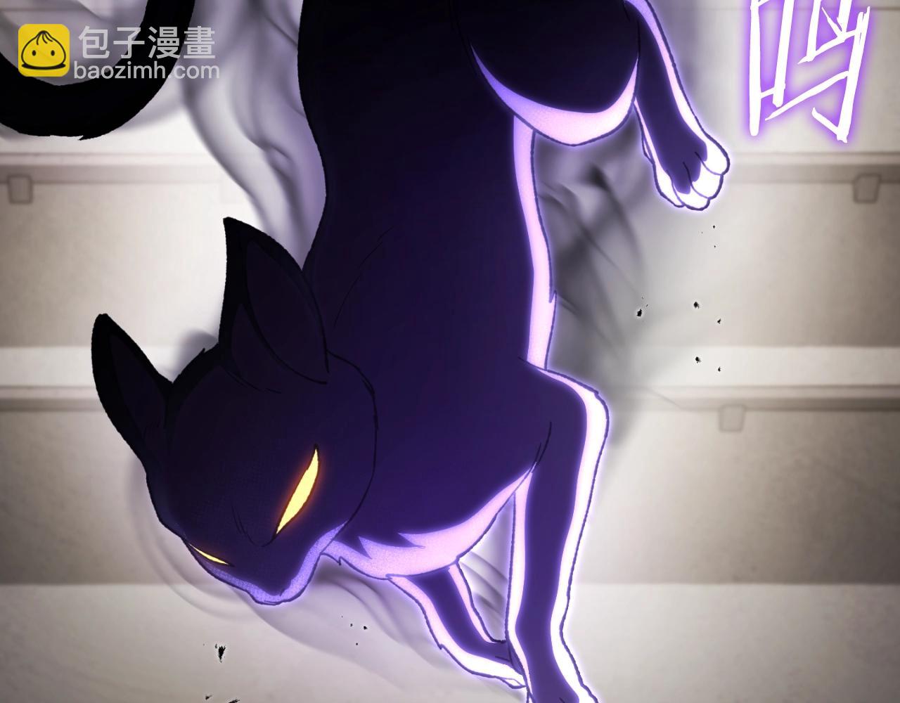 第173话 你好！小猫125