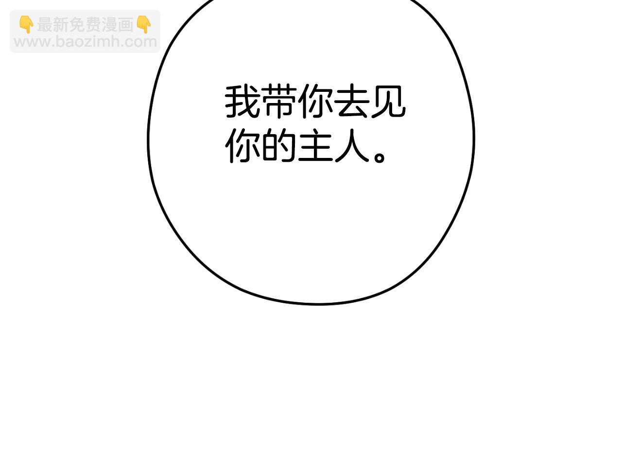 第173话 你好！小猫209