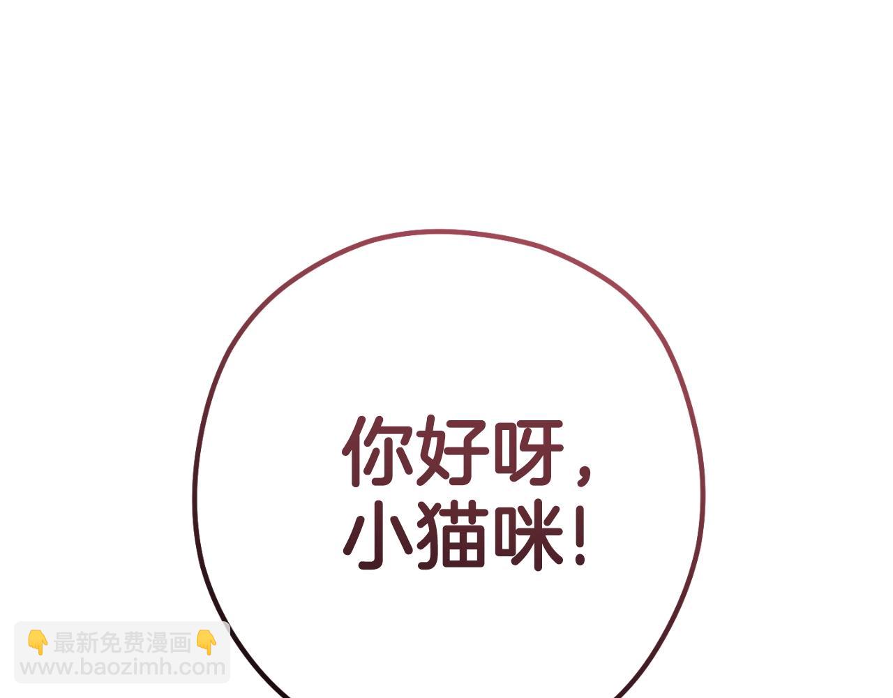 第173话 你好！小猫262