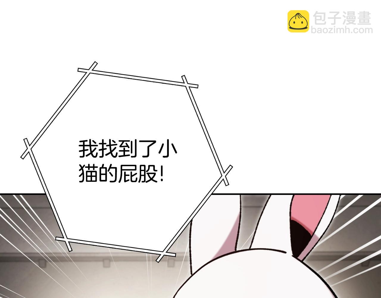 第173话 你好！小猫88
