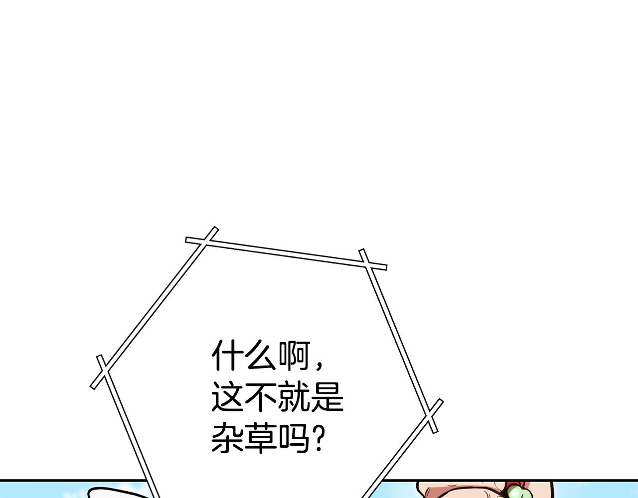 第196话 新的香辛料162