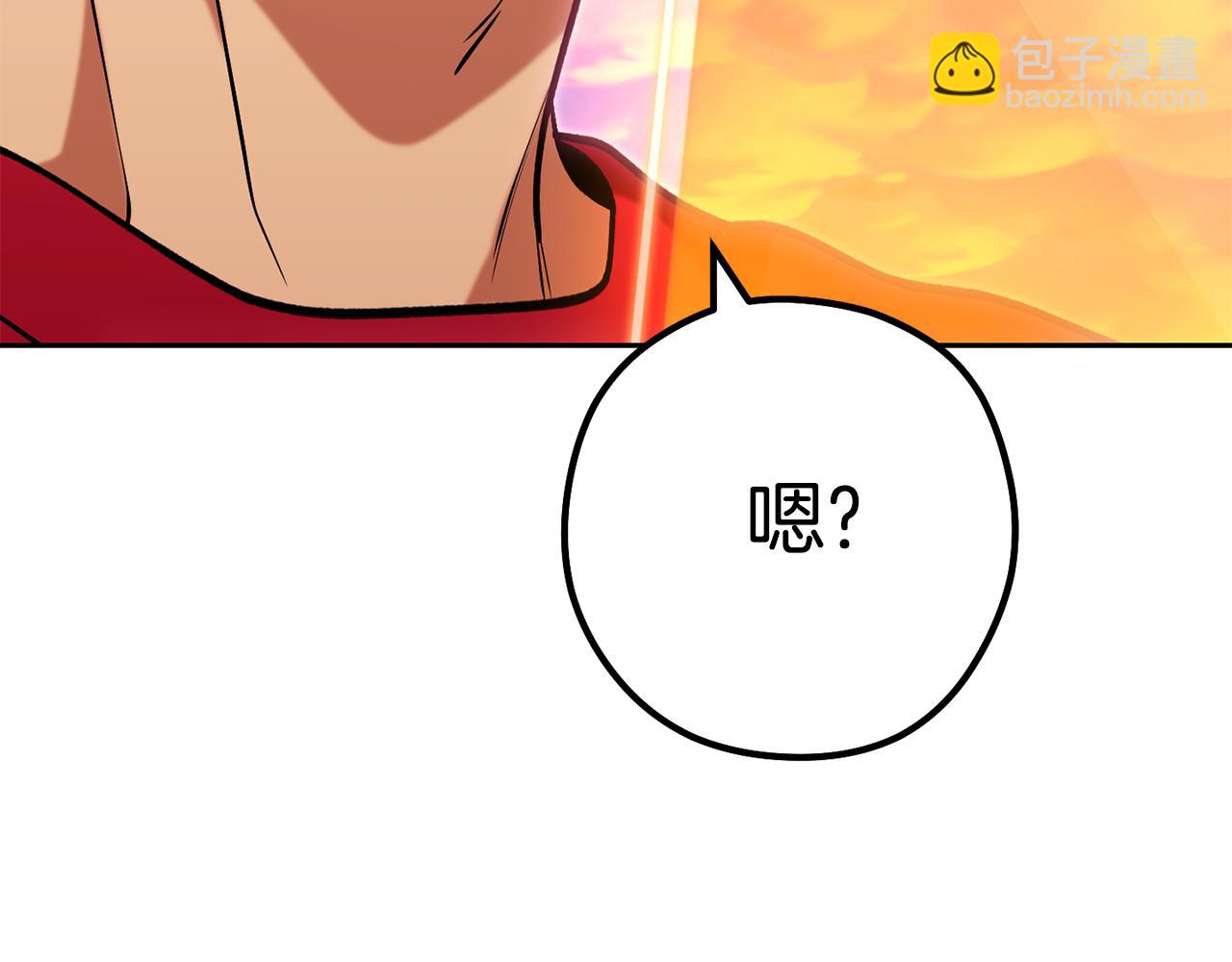 第204话 领域受限112