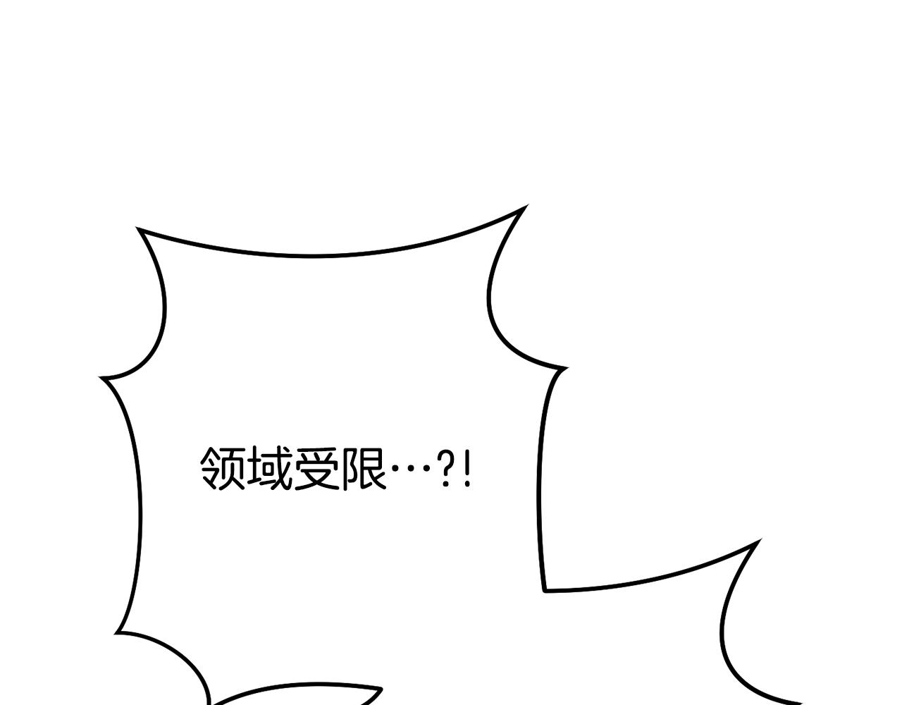 第204话 领域受限113