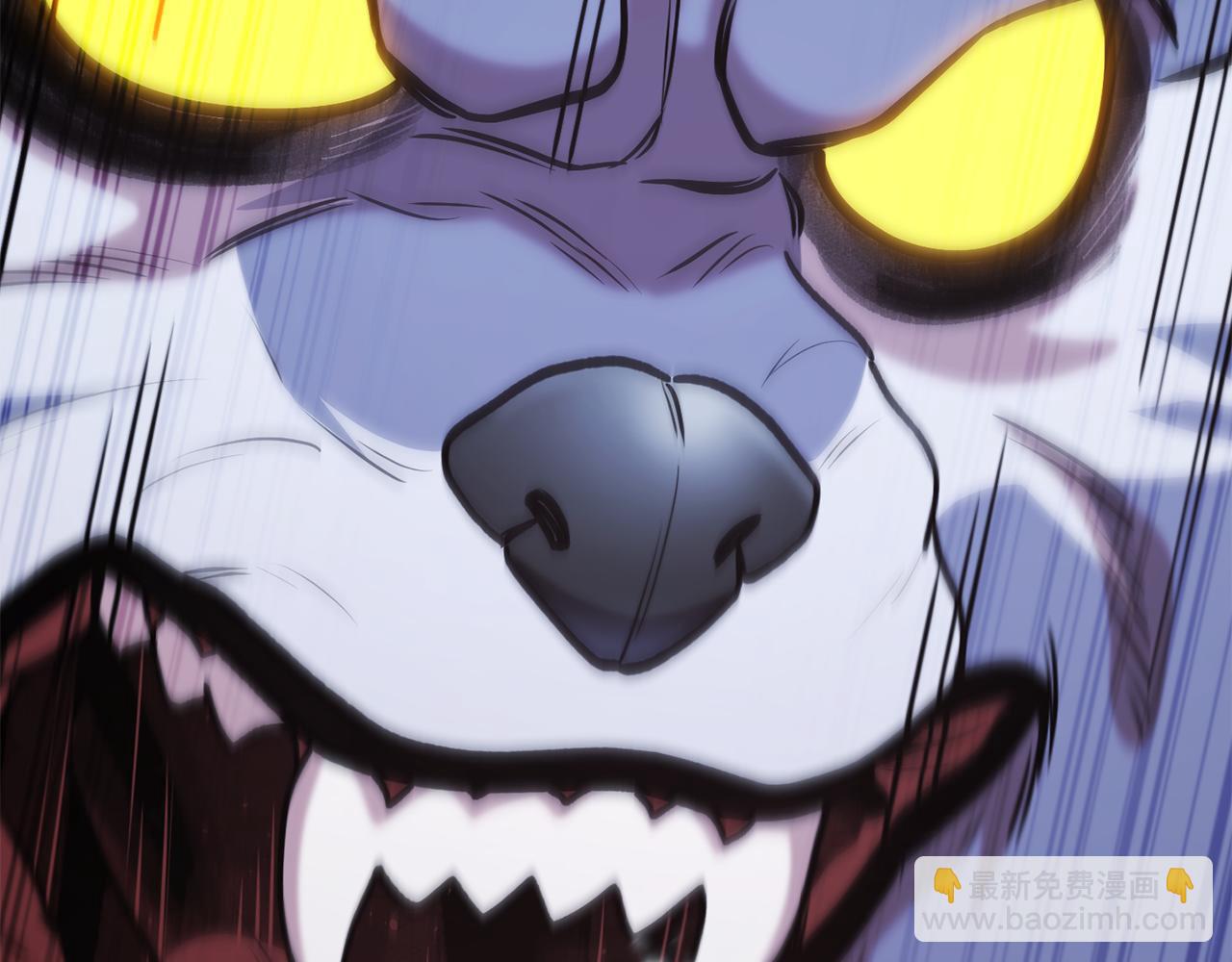 第204话 领域受限164