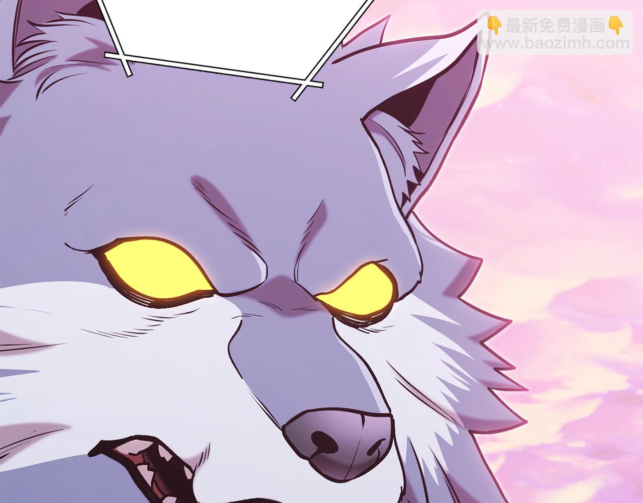 第204话 领域受限197