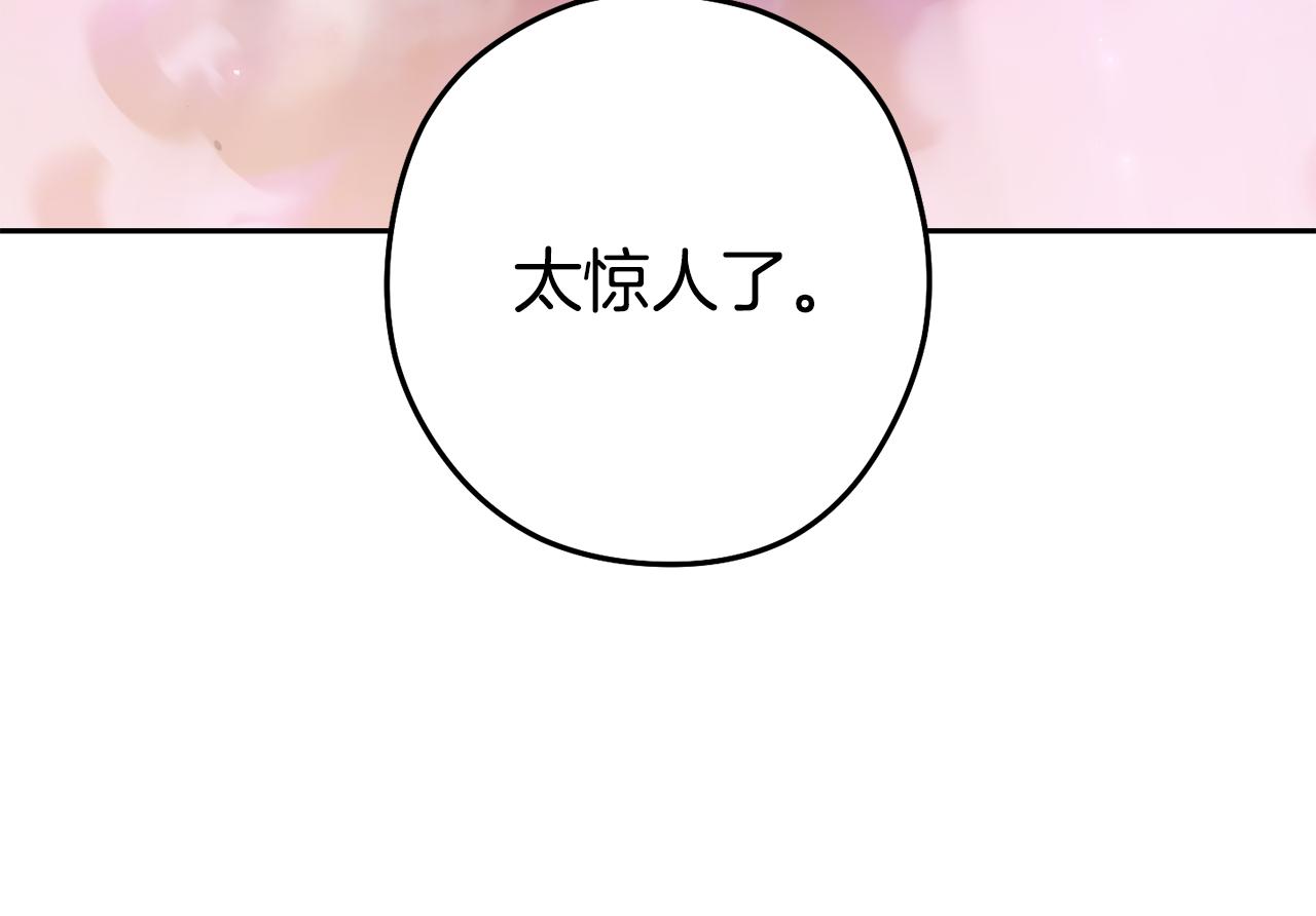 第204话 领域受限78