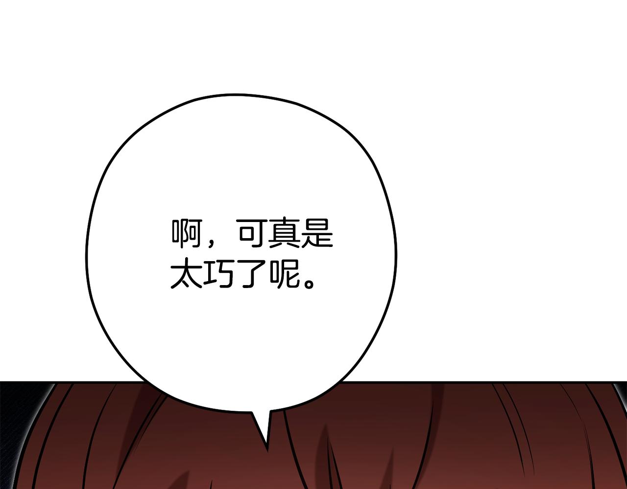 第205话 复制咒语书238