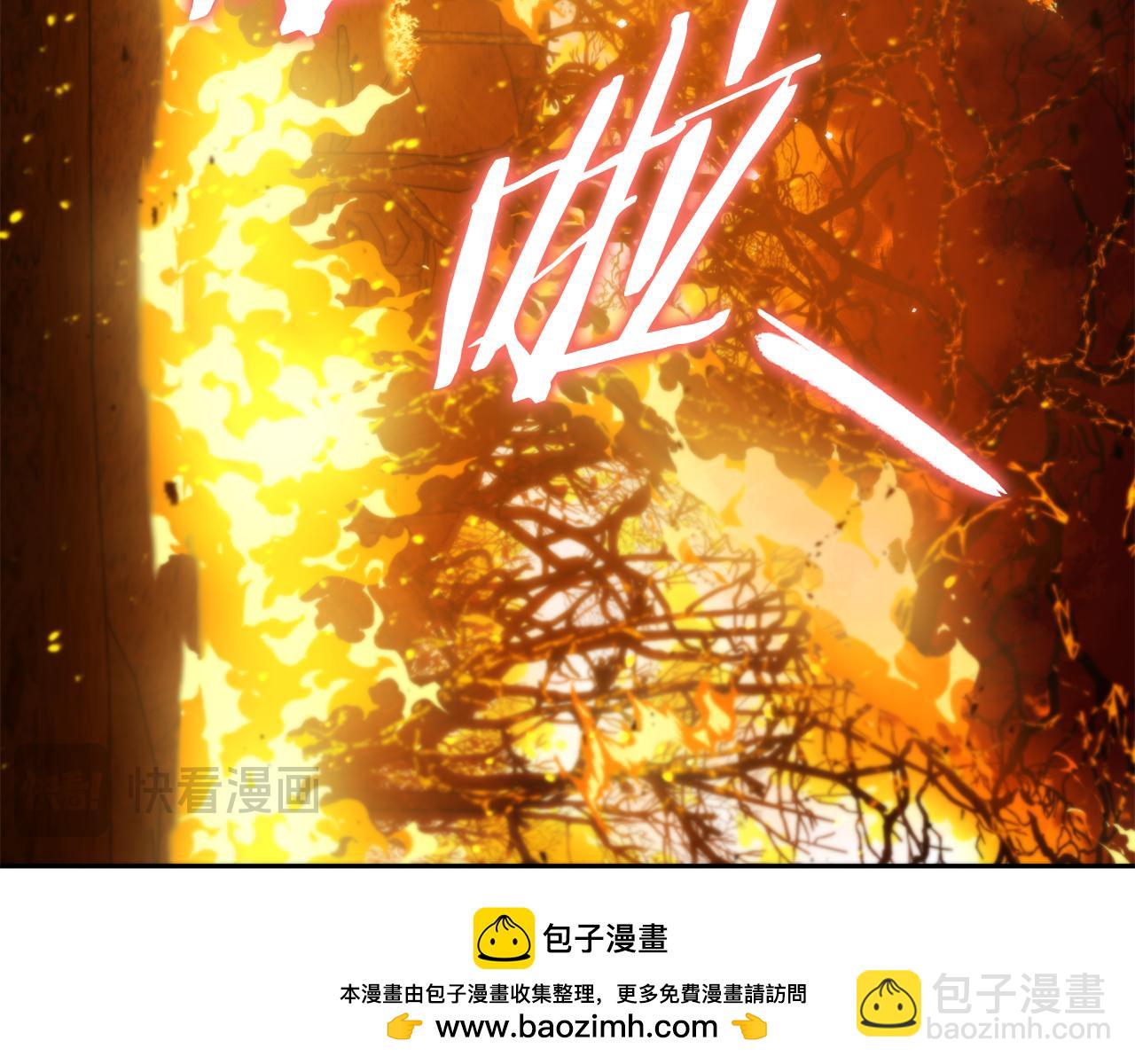第219话 燃烧森林107