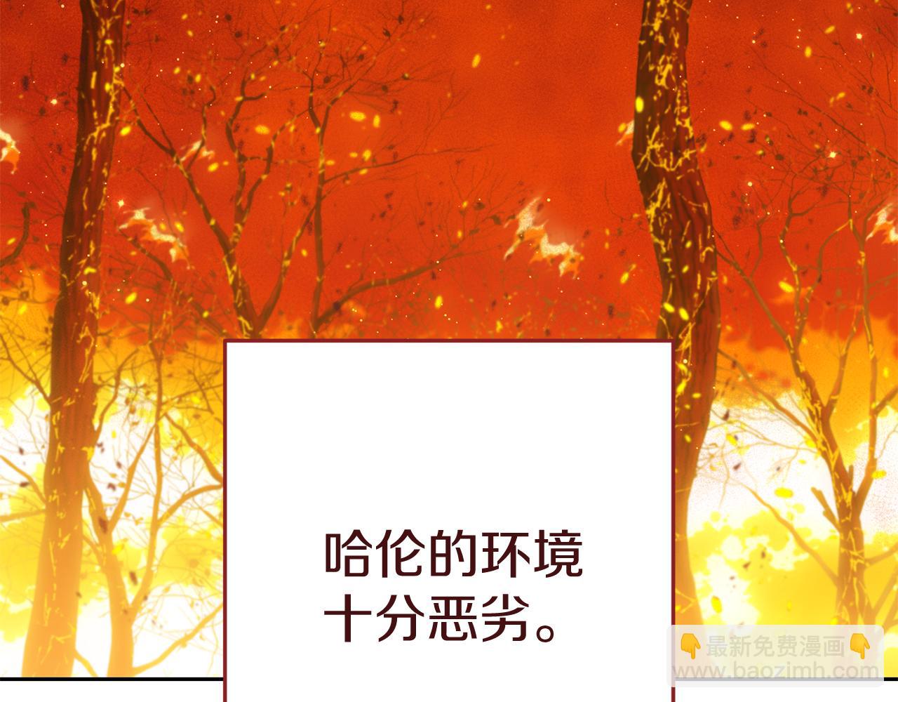 第220话 重塑框架214