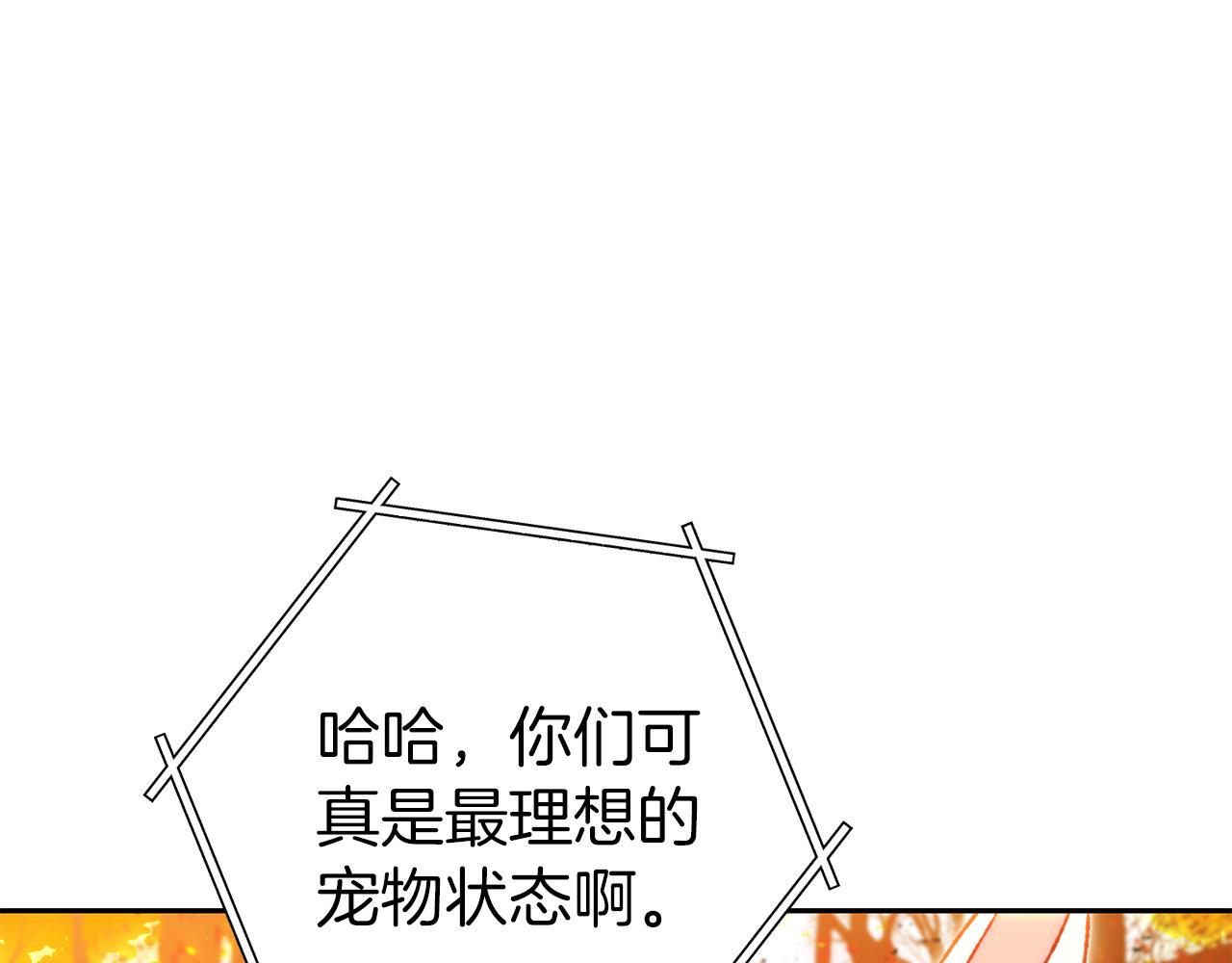 第221话 收服影子猫175