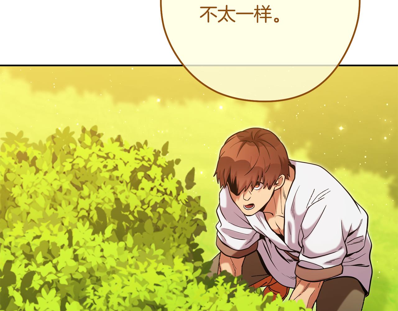 第230话 过去的片段40