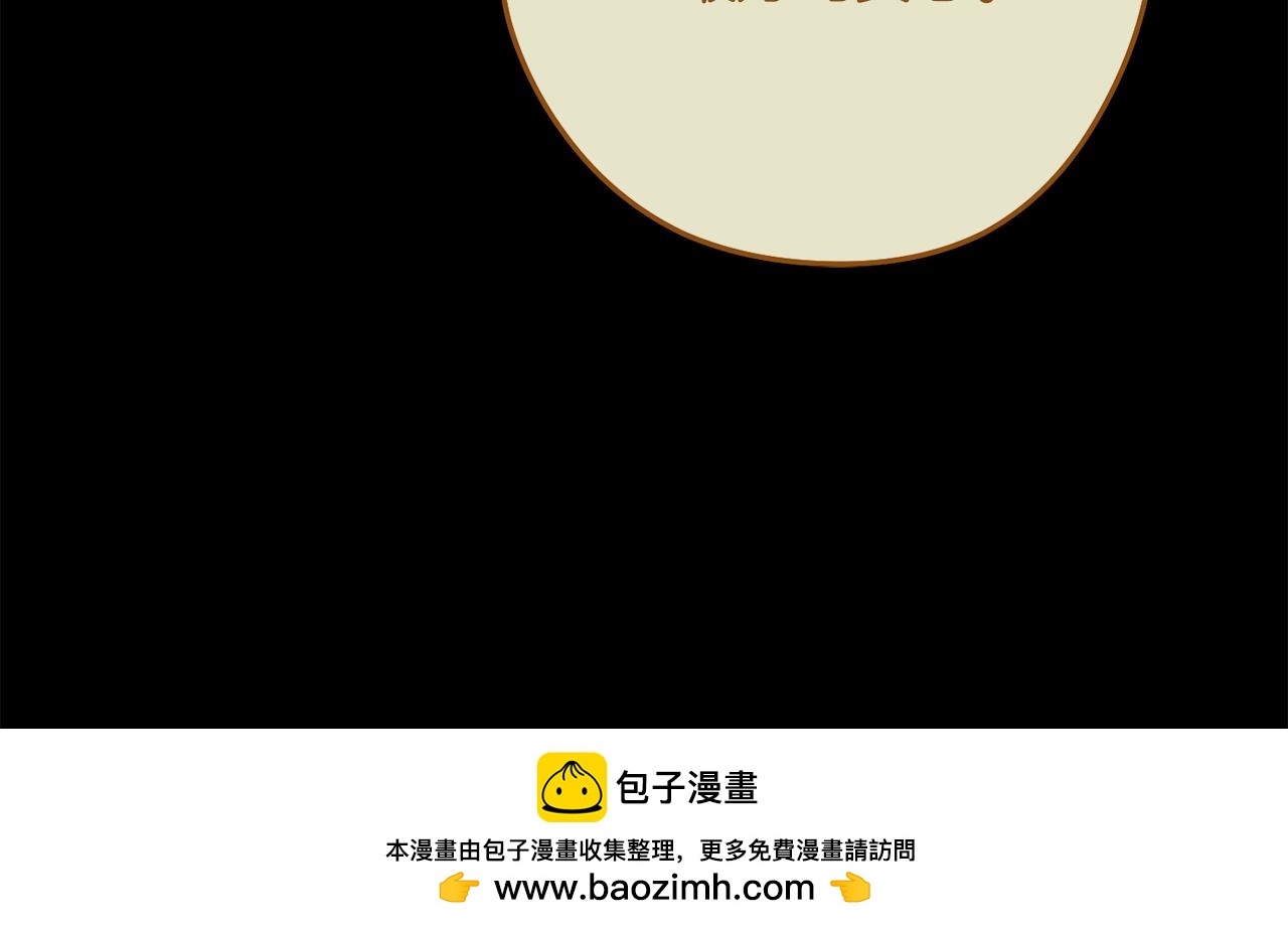 第234话 实施计划119