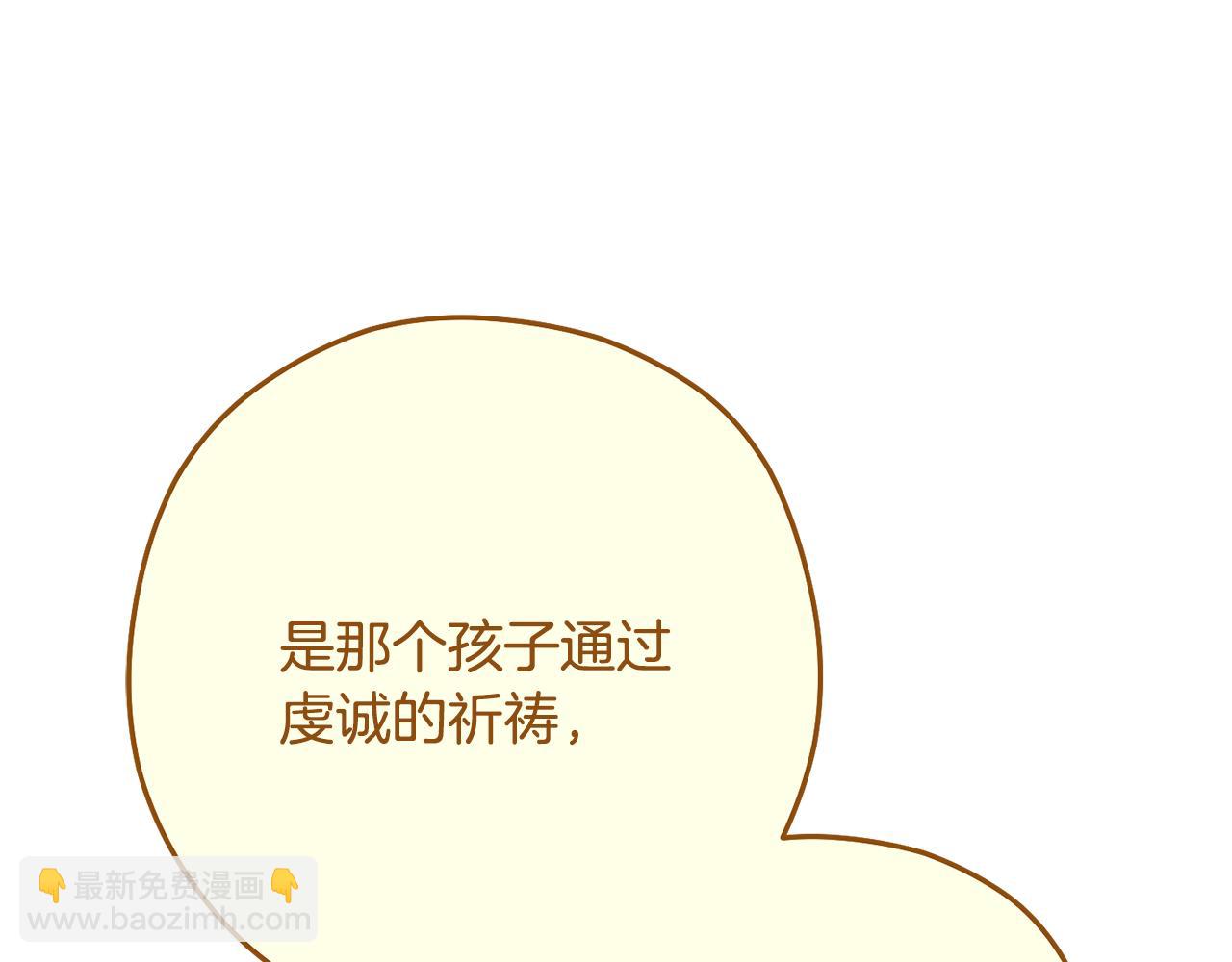 第234话 实施计划75