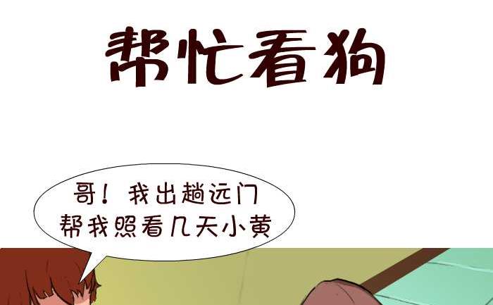 43 帮忙看狗1