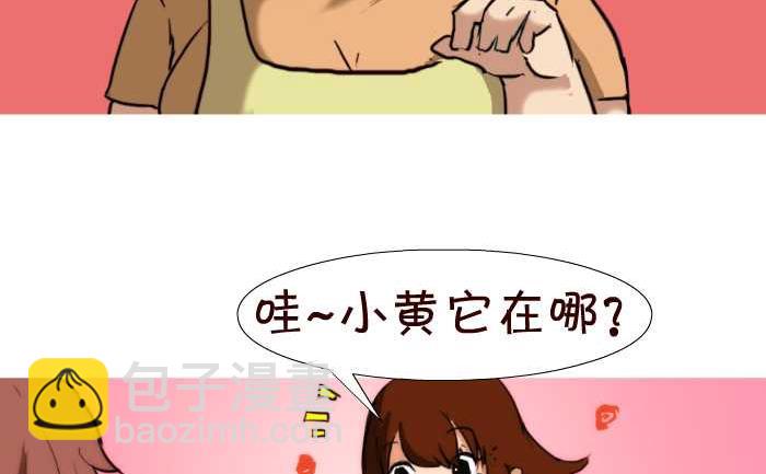 43 帮忙看狗13