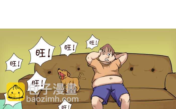 43 帮忙看狗3