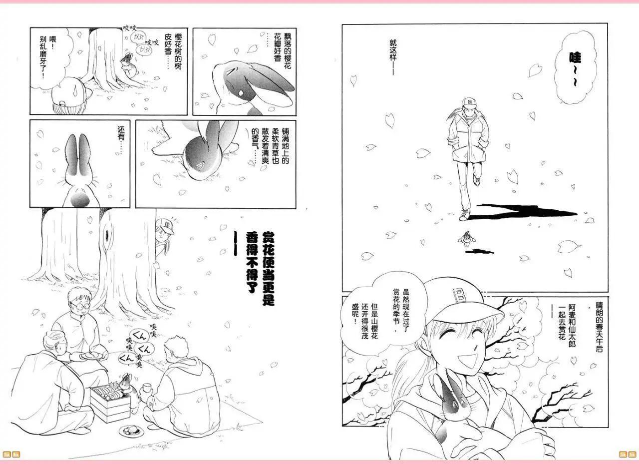 第26卷27