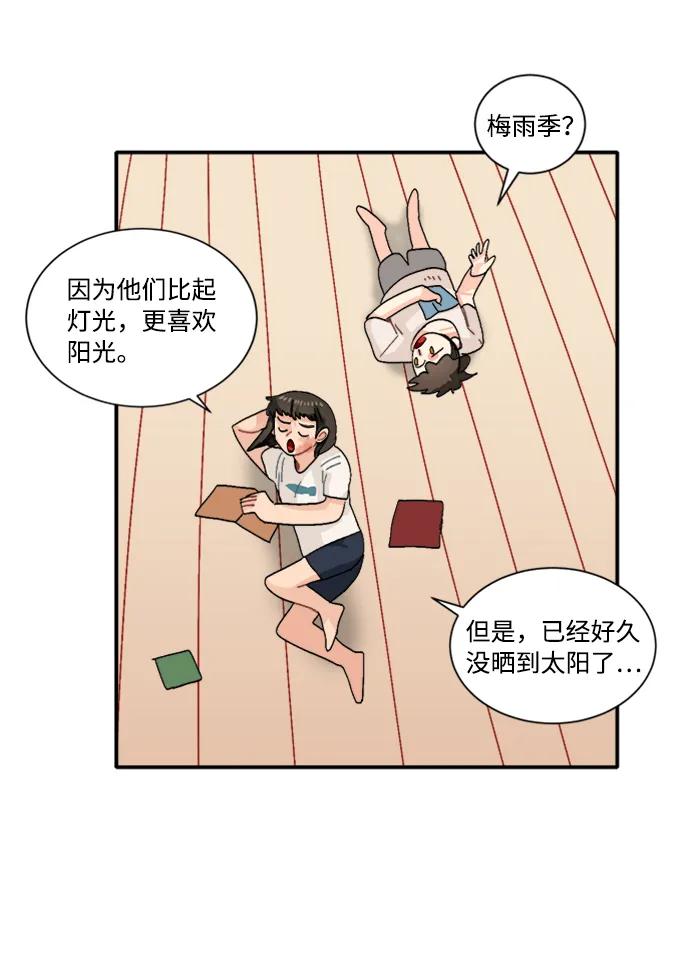 第41话11