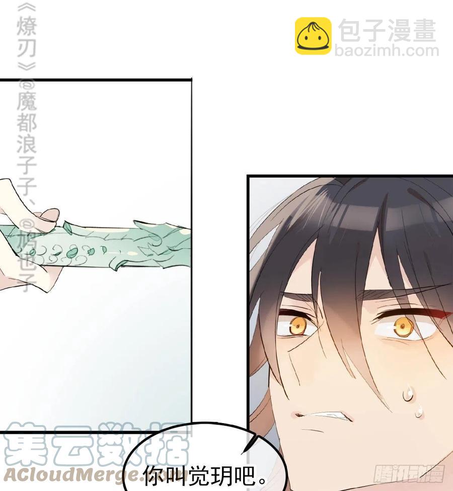 211 都是你的错6