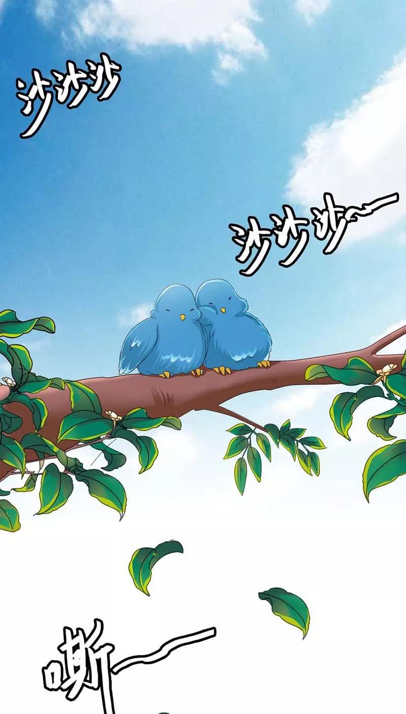 第3季11话 躲猫猫11
