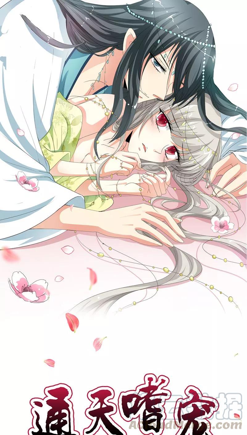 第3季15话 万能月饼0
